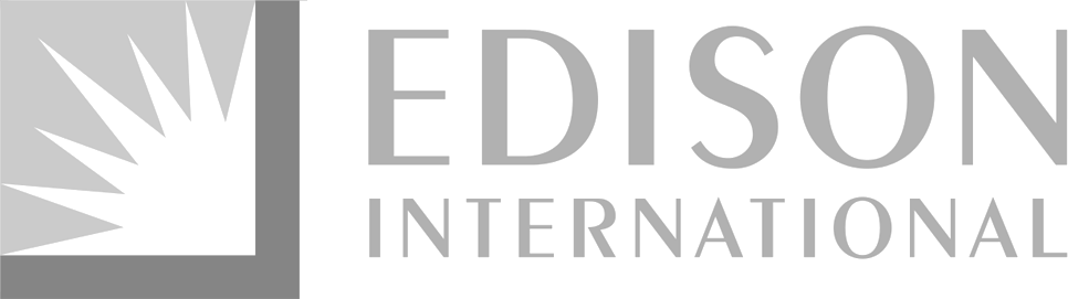 Client partner logo